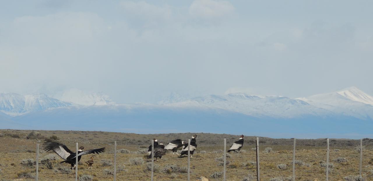 Complejo "Nahuel Pan " Villa El Chalten Luaran gambar